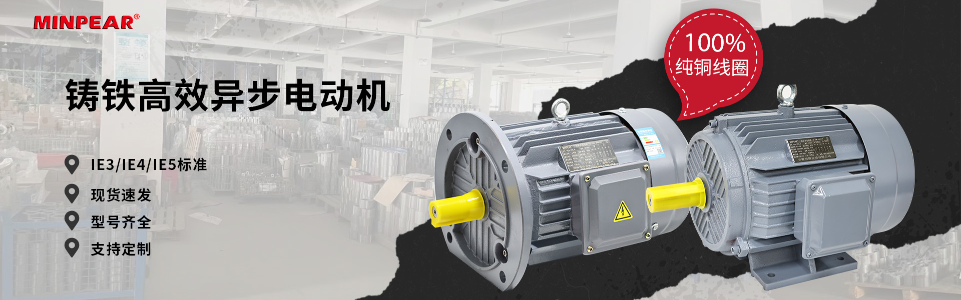 台湾TWT东炜庭电机系列